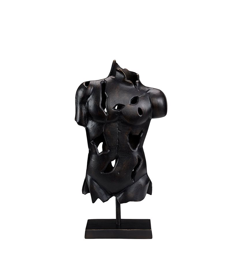 TORSO