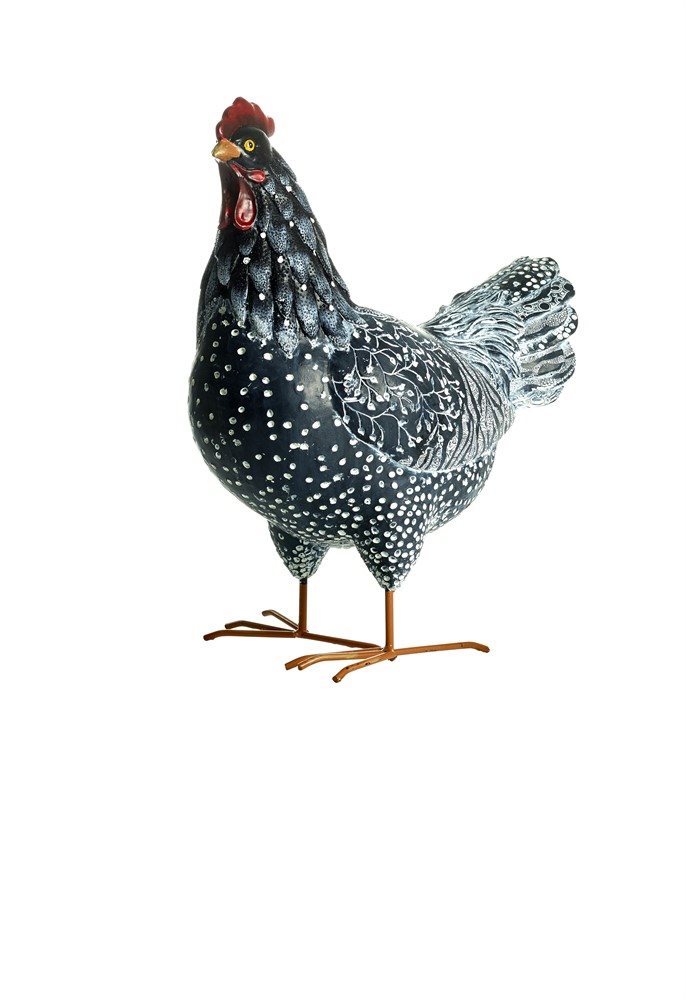 Vacker höna svart