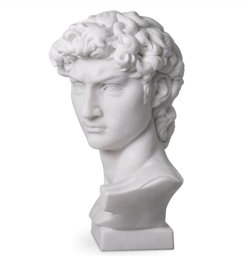Head David