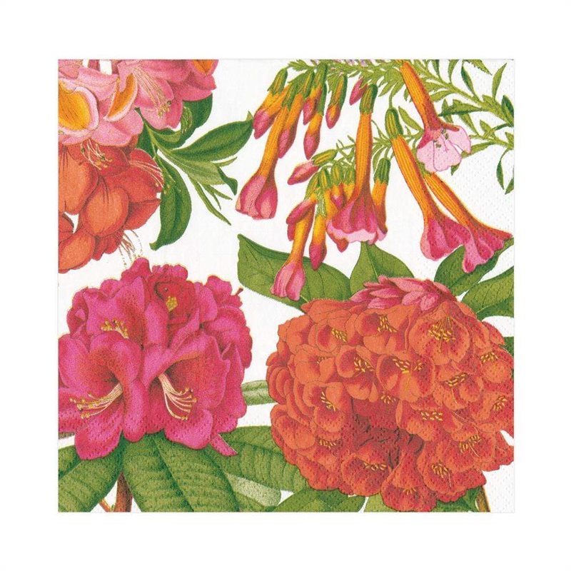 Jeffersons Garden Study White
