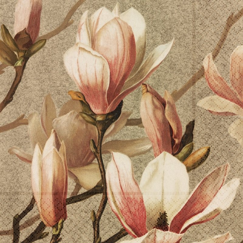 Magnolia