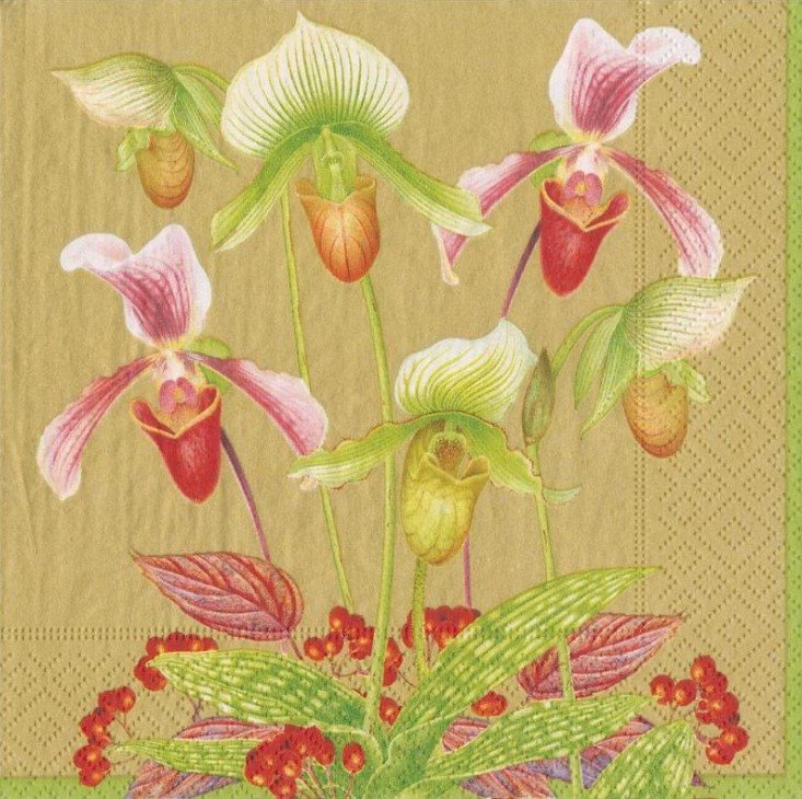 Slipper Orchid Gold