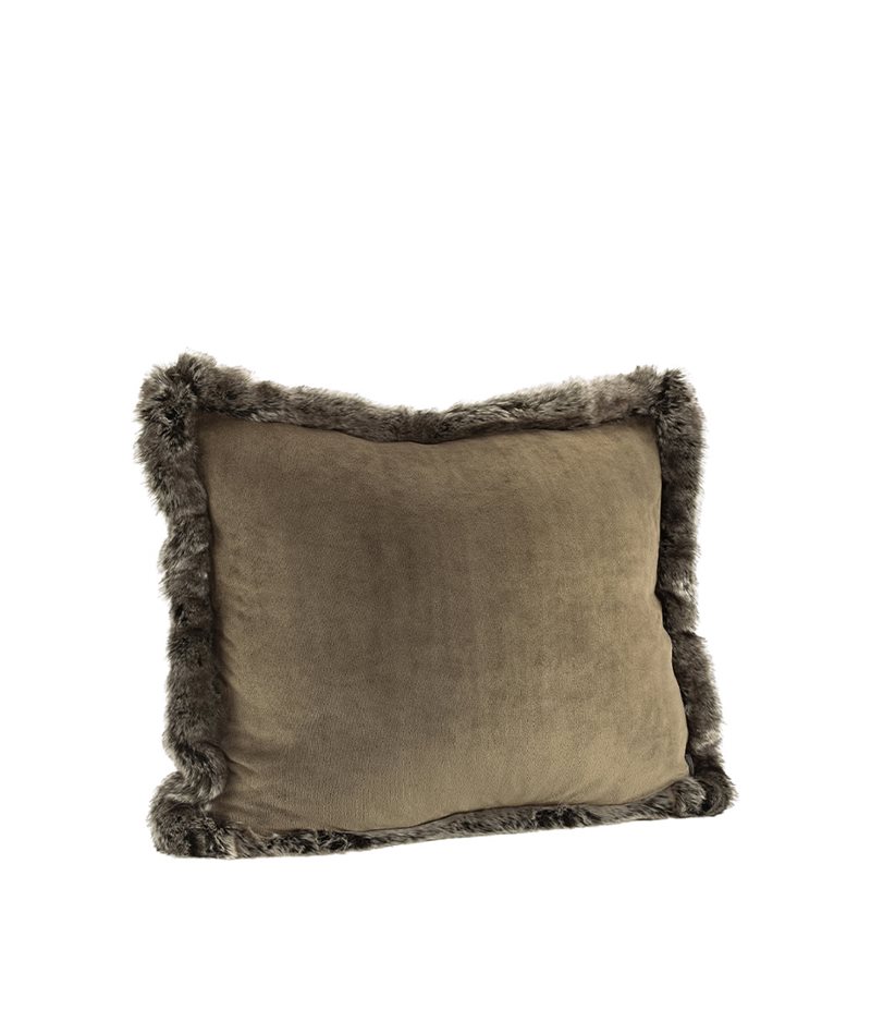 GREY BEAR VELBOA