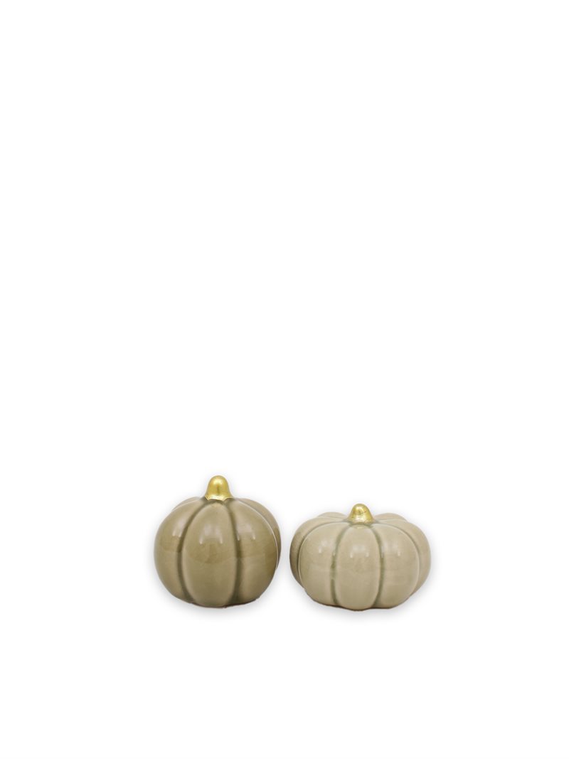 Pumpa mix beige