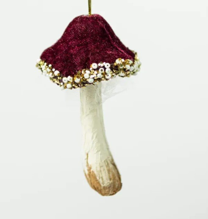 Röd svamp att hänga