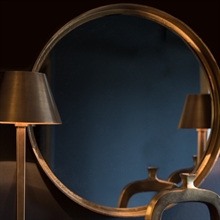 DINO Mirror