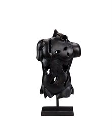 TORSO