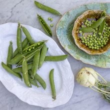 Small oval serving dish, seaweed