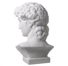 Head David