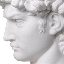 Head David