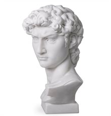 Head David