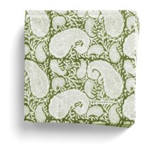  Big Paisley