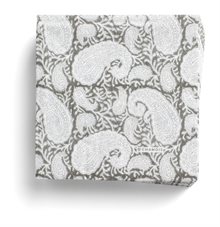 Big Paisley