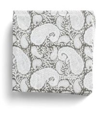 Big Paisley