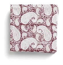 Big Paisley