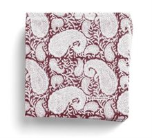 Big Paisley