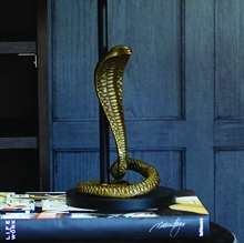 Lampfot Snake