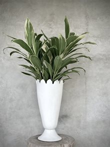 PIALA vase white