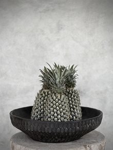 BIGO bowl